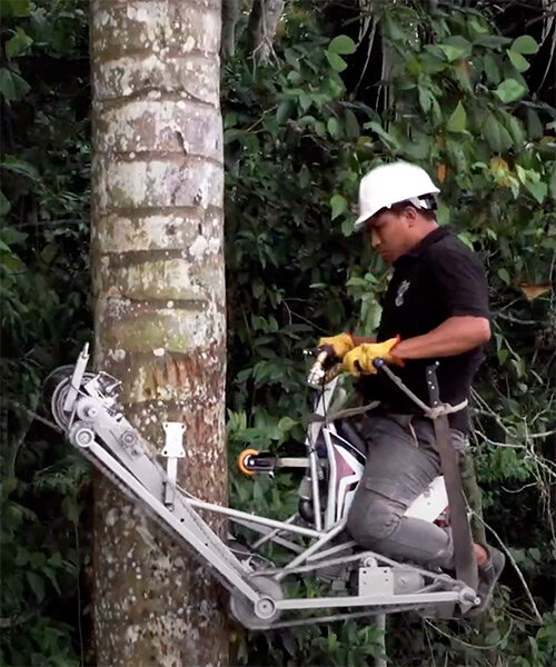 this vertical bike powered by honda climbs trees to prevent deforestation