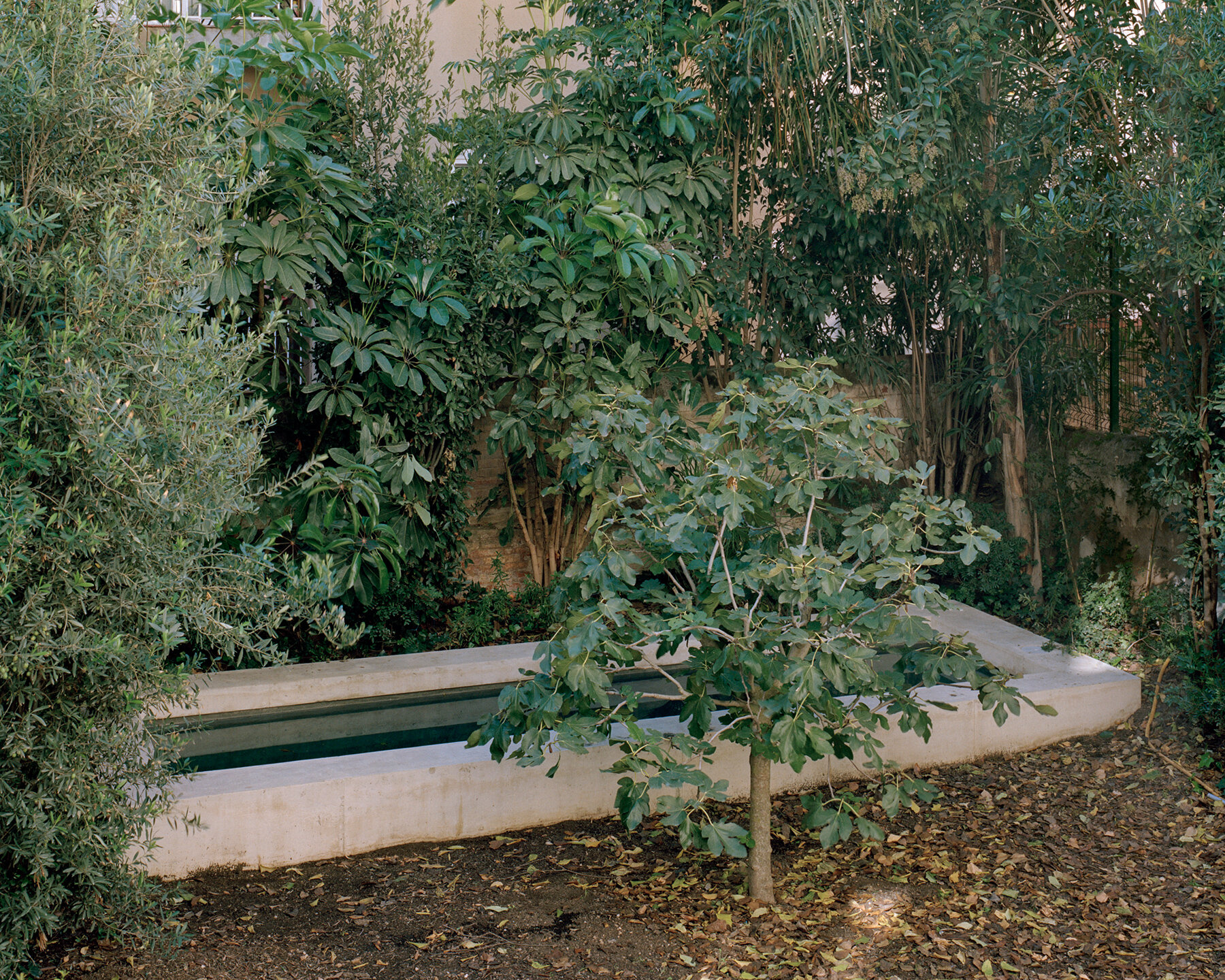 arquitectura-g-casa-verdi-designboom-07a