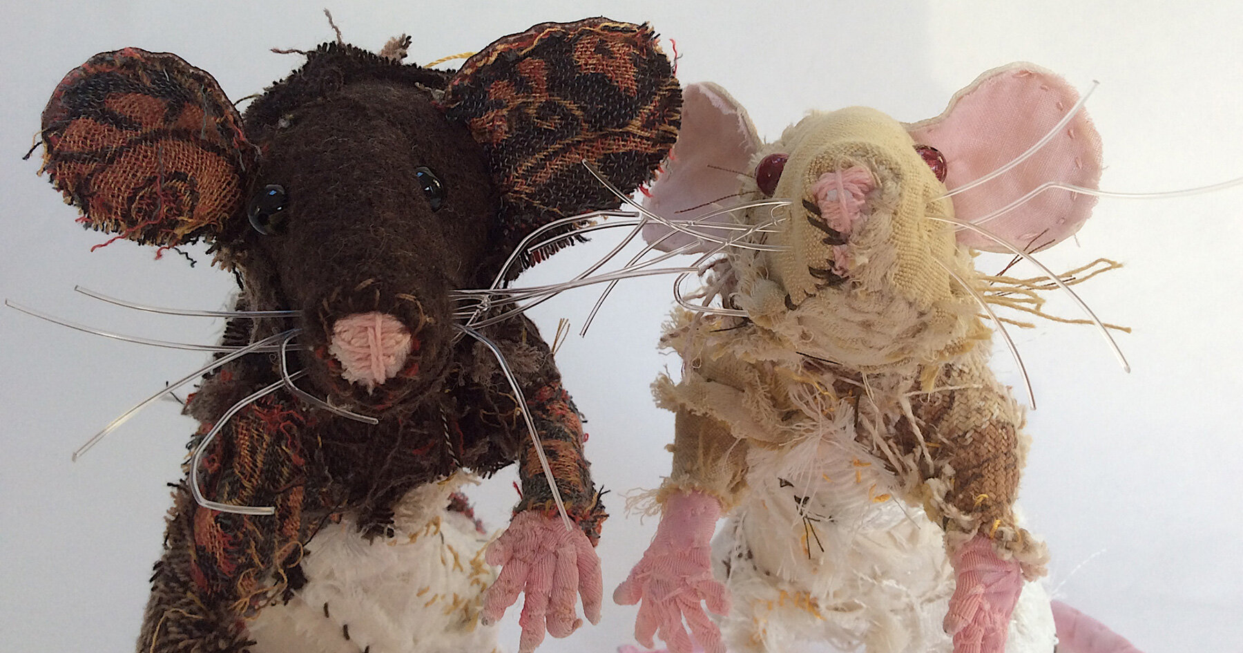 barbara-franc-shaggy-dogs-designboom-006