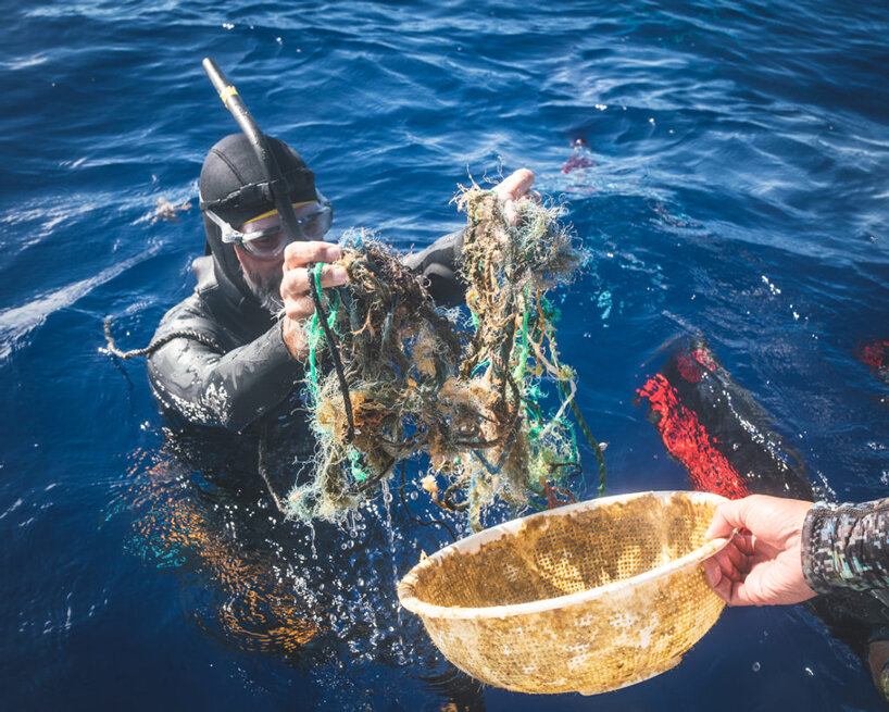 ben lecomte swims the great pacific garbage patch and finds it teeming with life