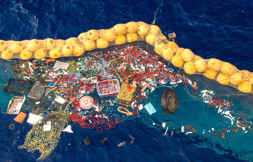 ben lecomte swims the great pacific garbage patch and finds it teeming with life