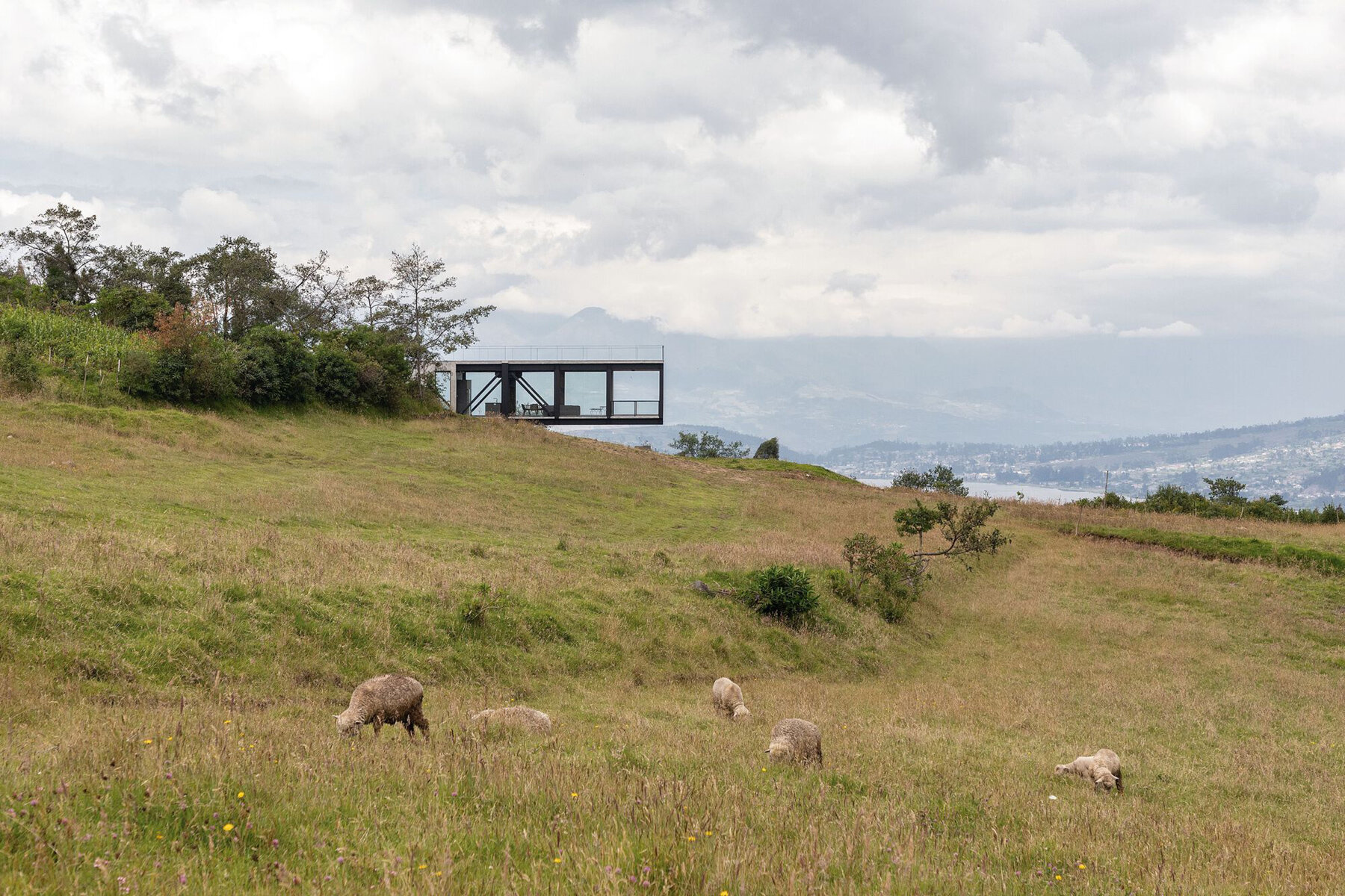 bernardo-bustamante-arquitectos-SPL-house-designboom-06a