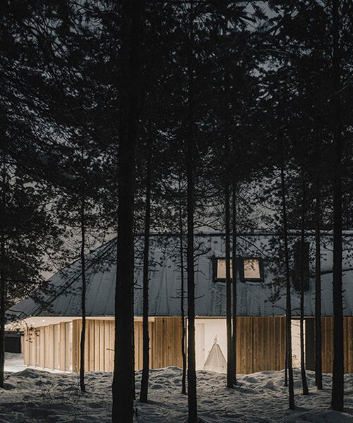 'bracket house' by AB CHVOYA celebrates the surrounding wooded landscape