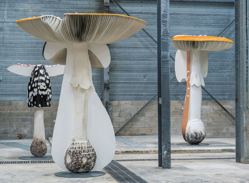 carsten höller replicates poisonous, hallucinogenic mushrooms for exhibition ‘new long term project’