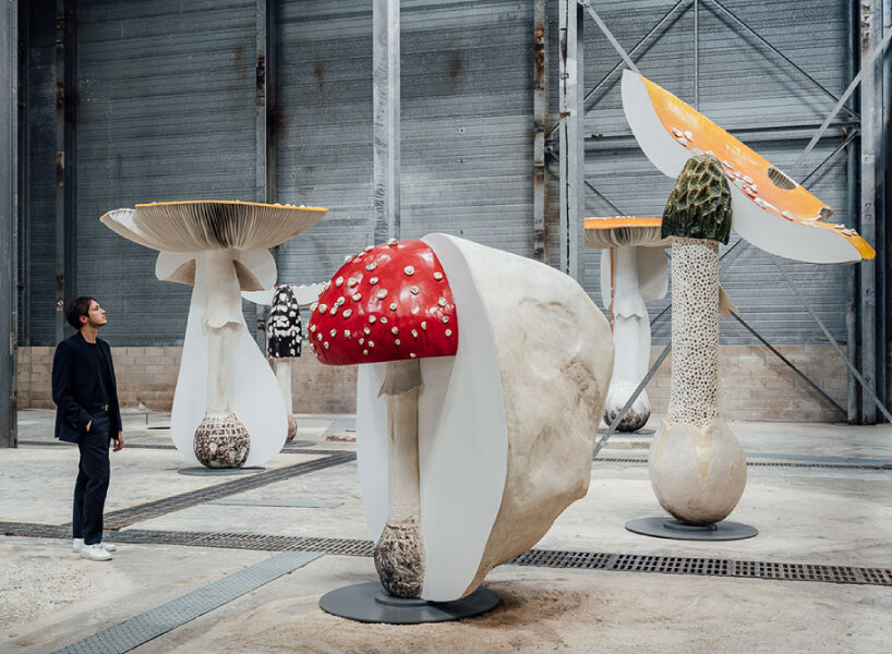 carsten höller replicates poisonous, hallucinogenic mushrooms for exhibition ‘new long term project’