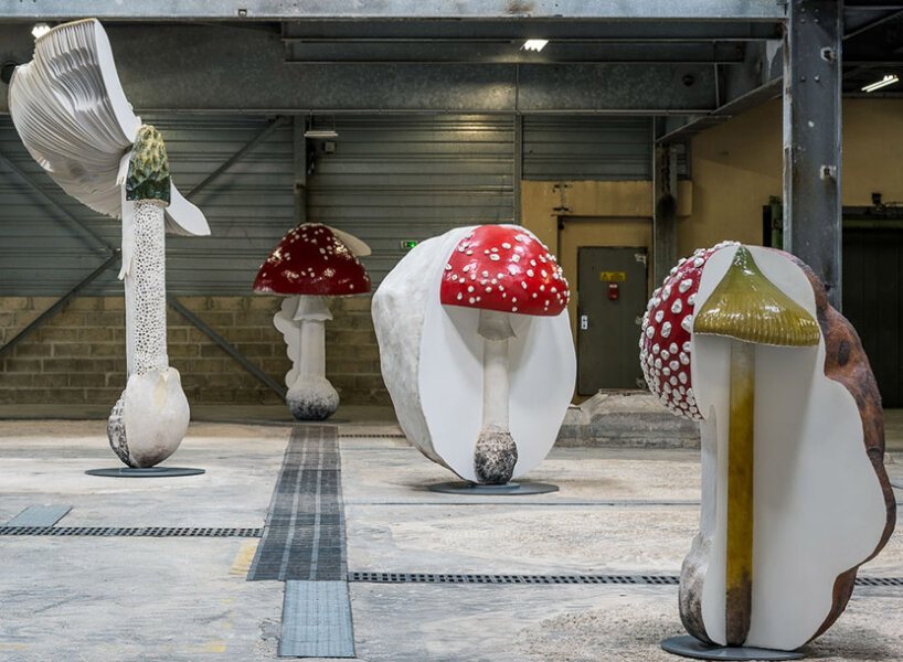 carsten höller replicates poisonous, hallucinogenic mushrooms for exhibition ‘new long term project’