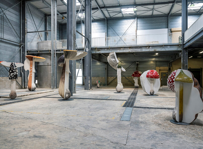 carsten höller replicates poisonous, hallucinogenic mushrooms for exhibition ‘new long term project’