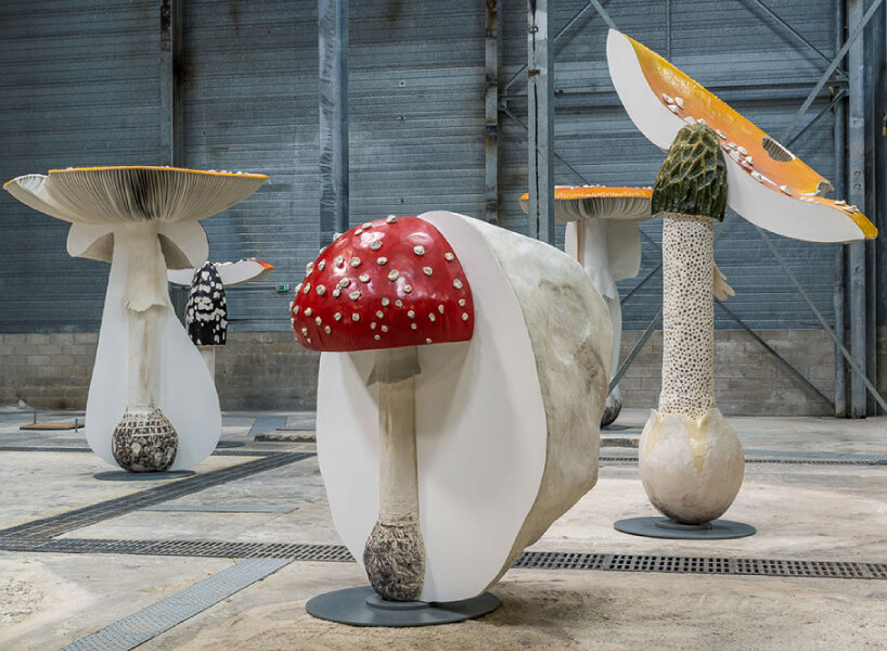 carsten höller replicates poisonous, hallucinogenic mushrooms for exhibition ‘new long term project’