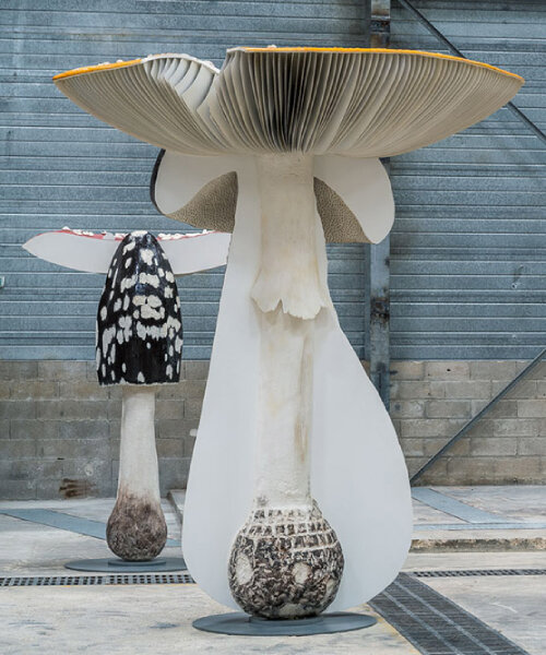 carsten höller replicates poisonous, hallucinogenic mushrooms for exhibition ‘new long term project’