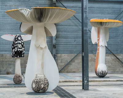 carsten höller replicates poisonous, hallucinogenic mushrooms for exhibition ‘new long term project’