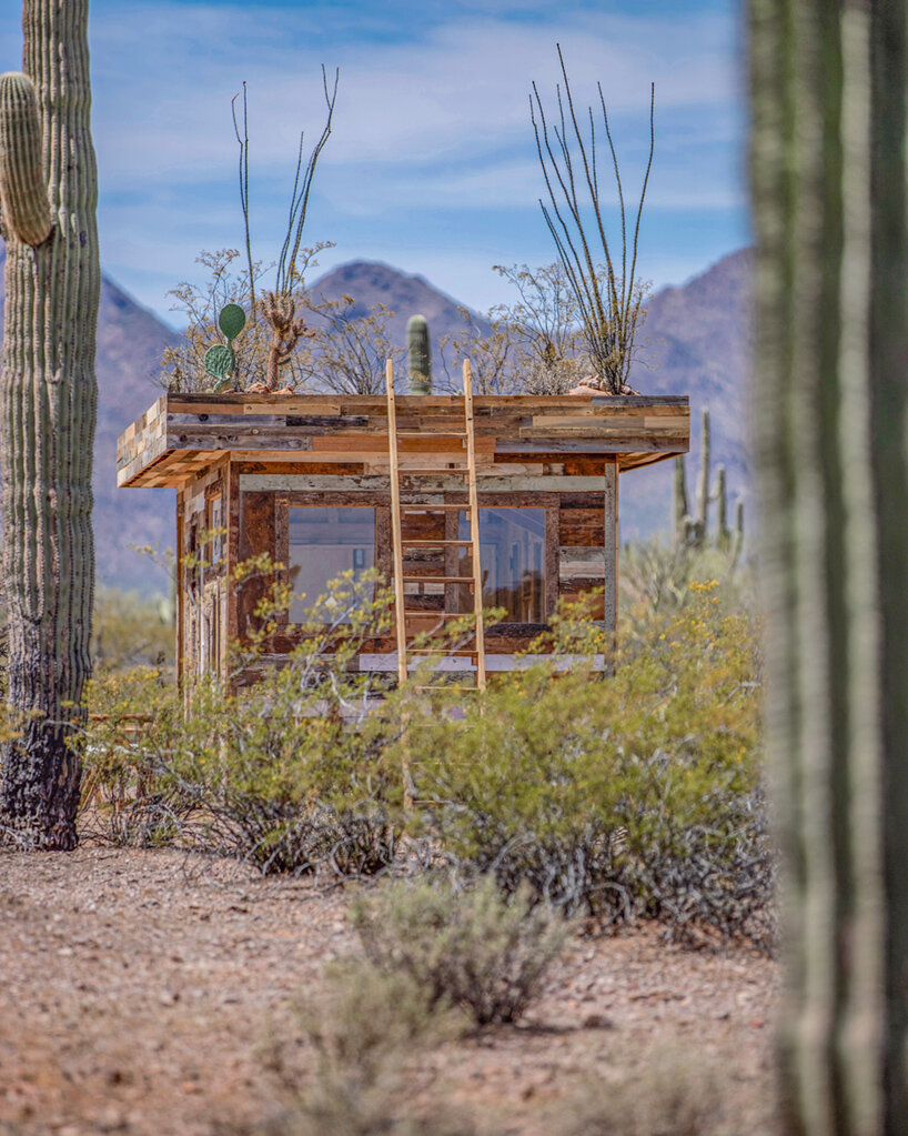 cabinland comes to the sunny southwest, beginning with its salvaged timber 'desert cabin'