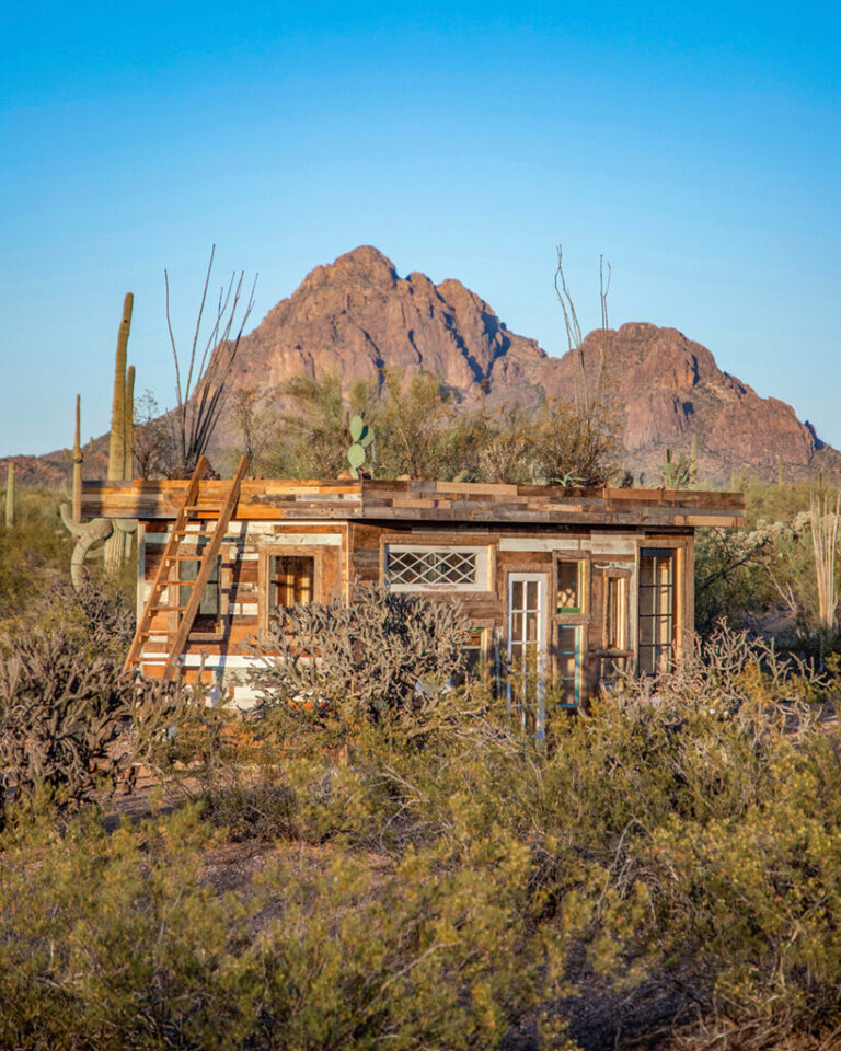 cabinland comes to sunny southwest with salvaged timber 'desert cabin'