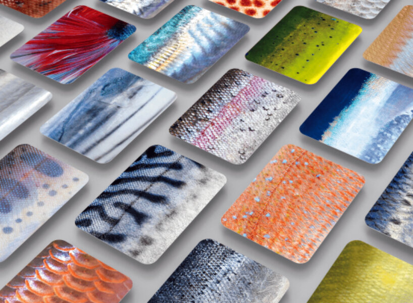 these playing cards replicate the skin of fish