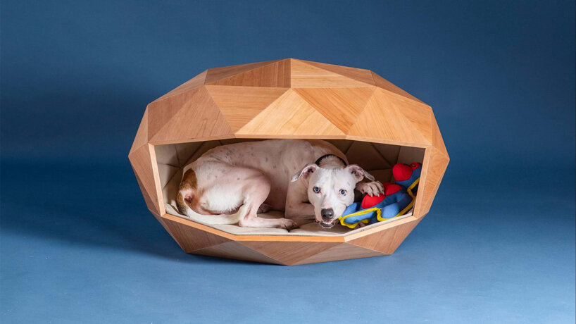 foster + partners designs paw-inspiring dog kennel with geodesic timber shell