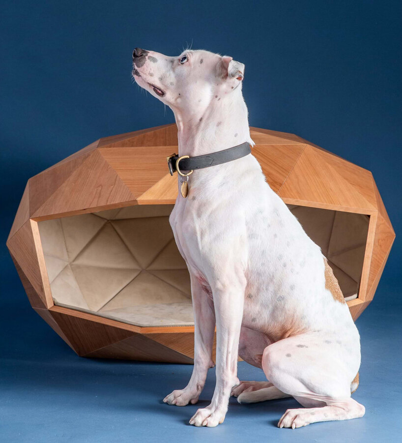 foster + partners designs paw-inspiring dog kennel with geodesic timber shell