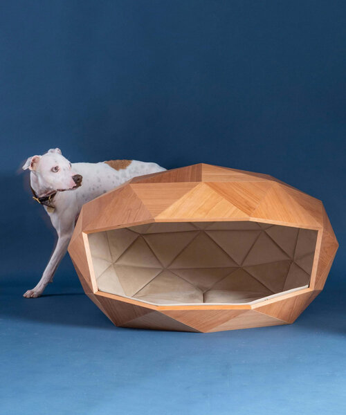 foster + partners designs paw-inspiring dog kennel with geodesic timber shell