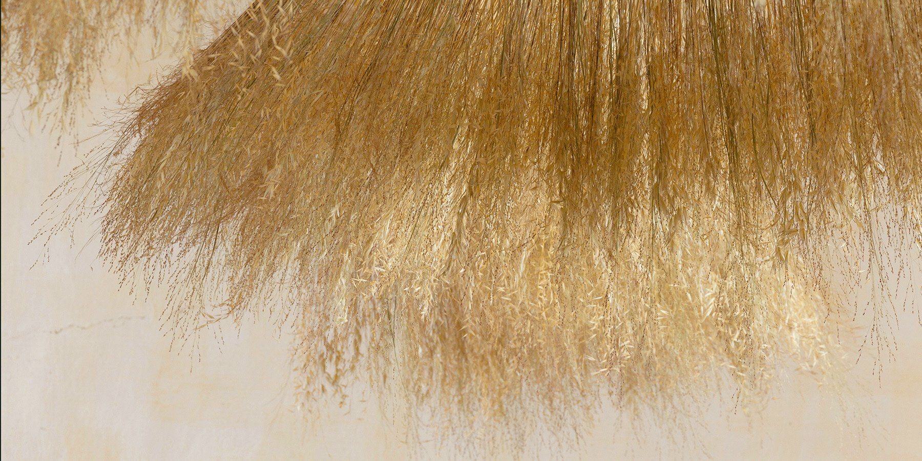 golden-dried-plant-installation-meanders-former-french-chapel-magdala-designboom-18002
