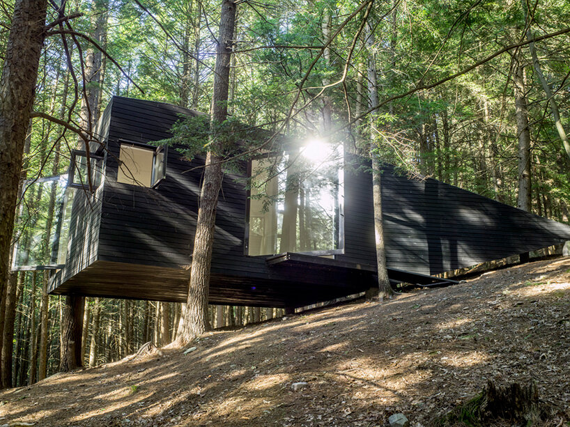 jacobschang architecture's 'half-tree house' seems to float among the woods