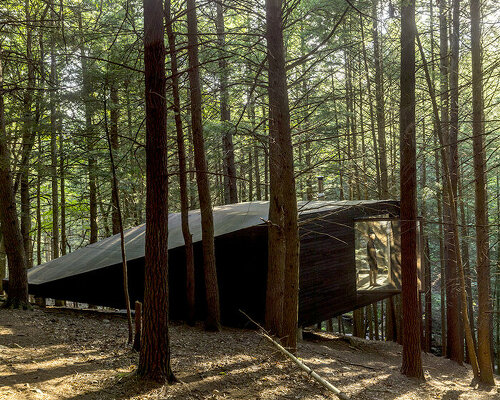 treehouse architecture and design | designboom.com