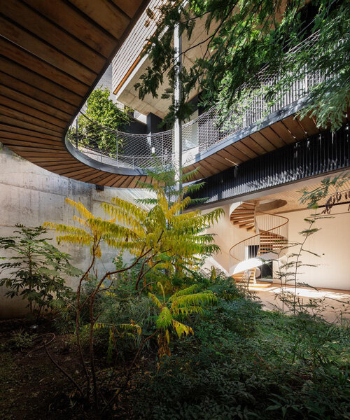open courtyard with lush vegetation completes langarita-navarro's casa hernández in madrid