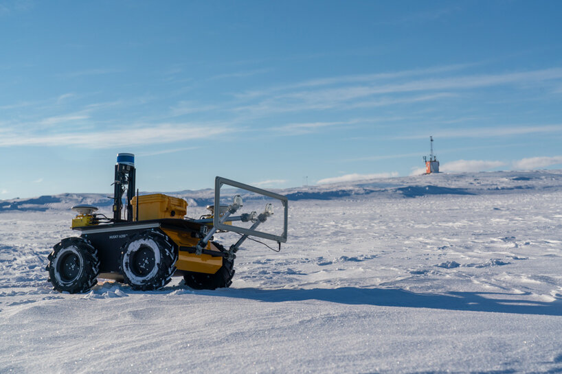 Conoce a ECHO, el robot amarillo que monitorea a los pingüinos rey antárticos