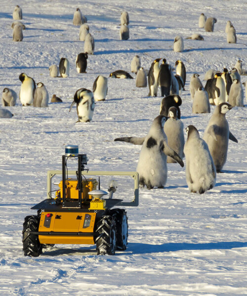 meet ECHO, the yellow robot that's monitoring emperor penguins in antarctica