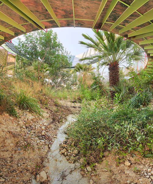 this 'rambla climate-house' is reviving a rich ecosystem once destroyed to urbanization