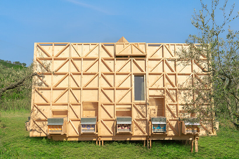 sleep surrounded by 1 million bees in this 'air bee & bee' in southern italy