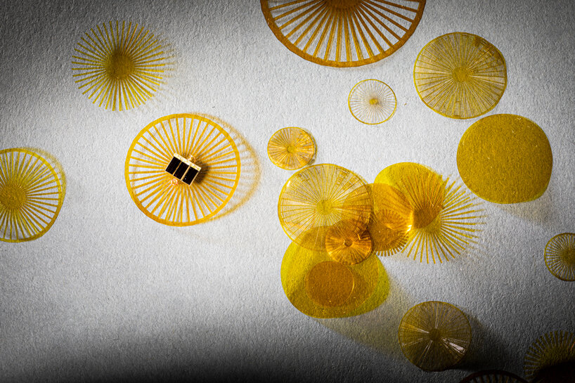 these tiny solar powered sensors float in the wind like dandelion seeds
