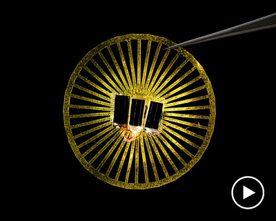 these tiny solar powered sensors float in the wind like dandelion seeds