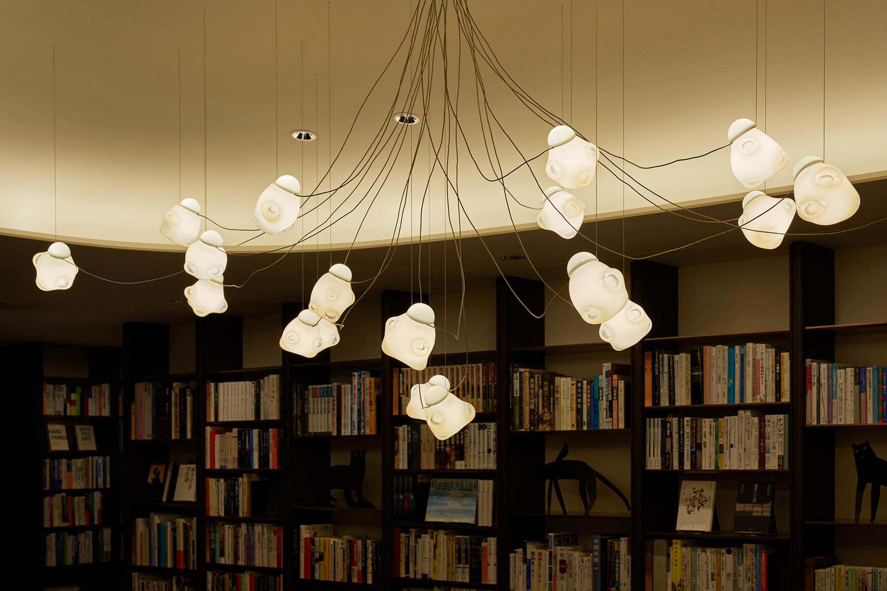 tomoko-ikegai-ikg-inc-y-residene-tokyo-designboom-005