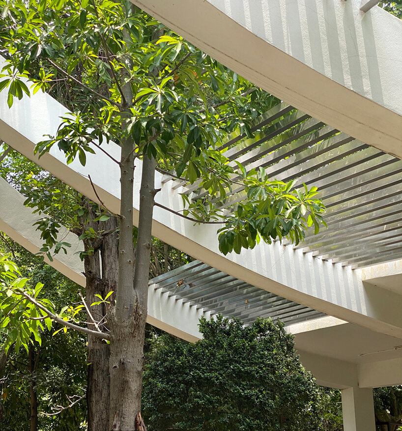 ekar architects walk house