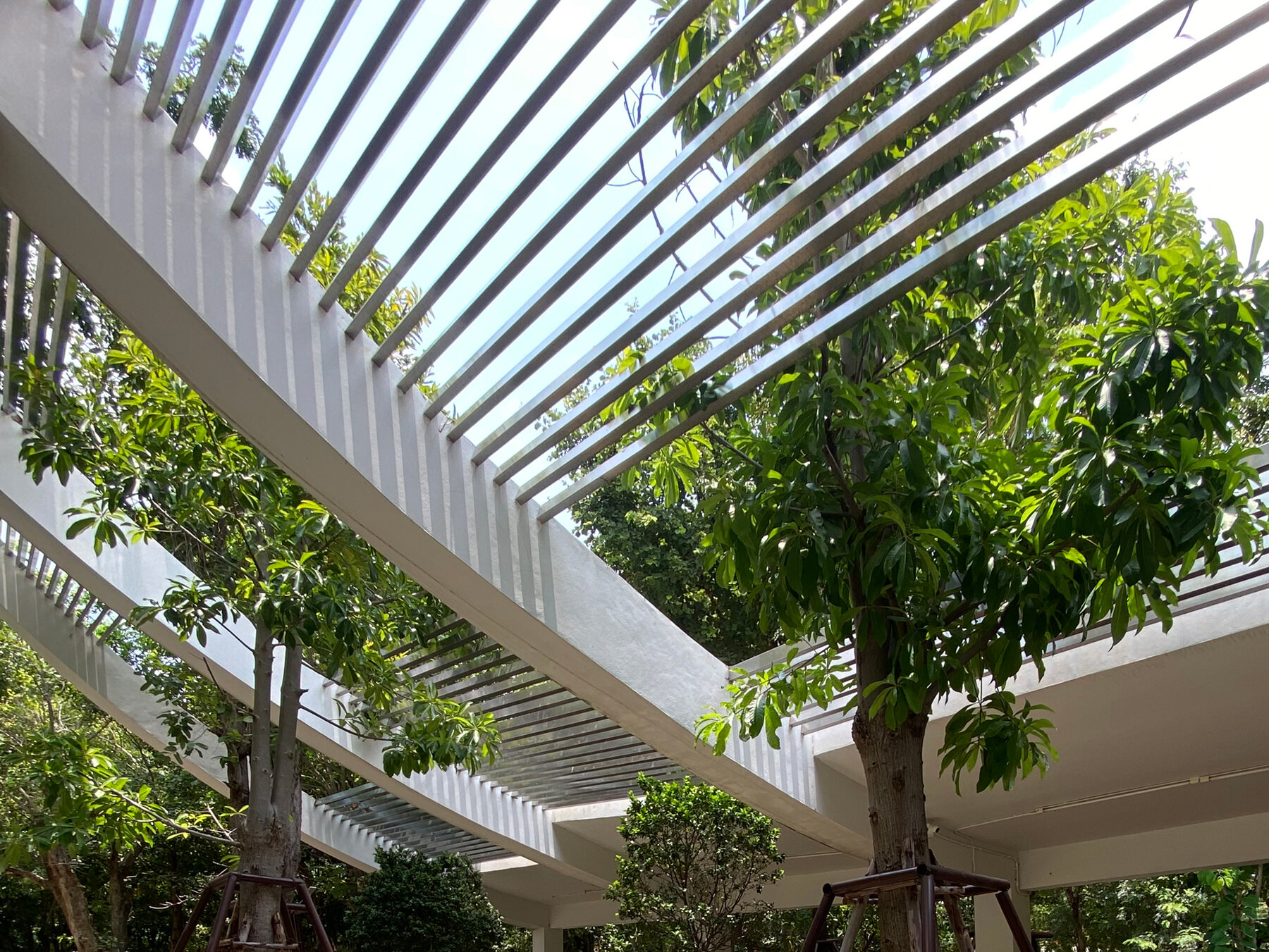 EKAR-architects-walk-house-petchabun-thailand-designboom-06a