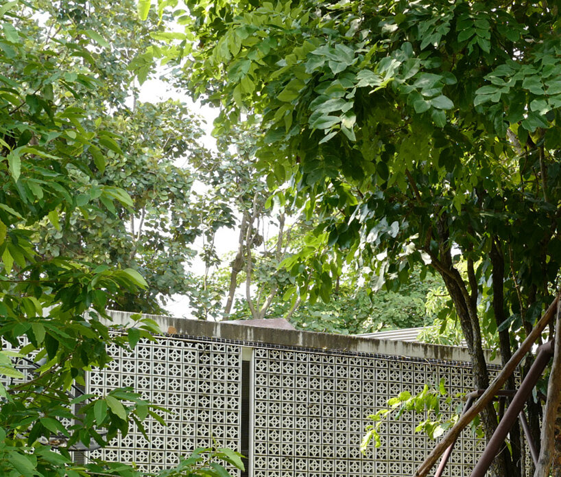 ekar architects walk house