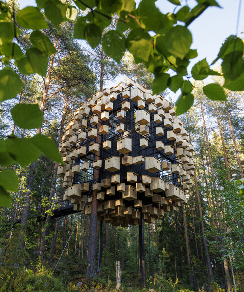 bjarke ingels group's 'biosphere' treehouse hotel floats among 350 birdhouses