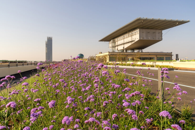 benedetto camerana plants europe's biggest roof garden atop an old fiat factory in turin