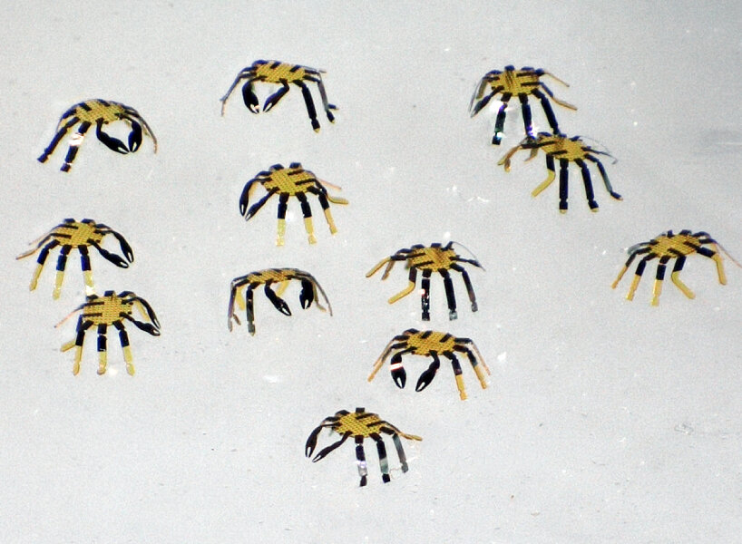 Los cangrejos robóticos de tamaño micro se doblan, tuercen, gatean y saltan para realizar tareas en espacios pequeños