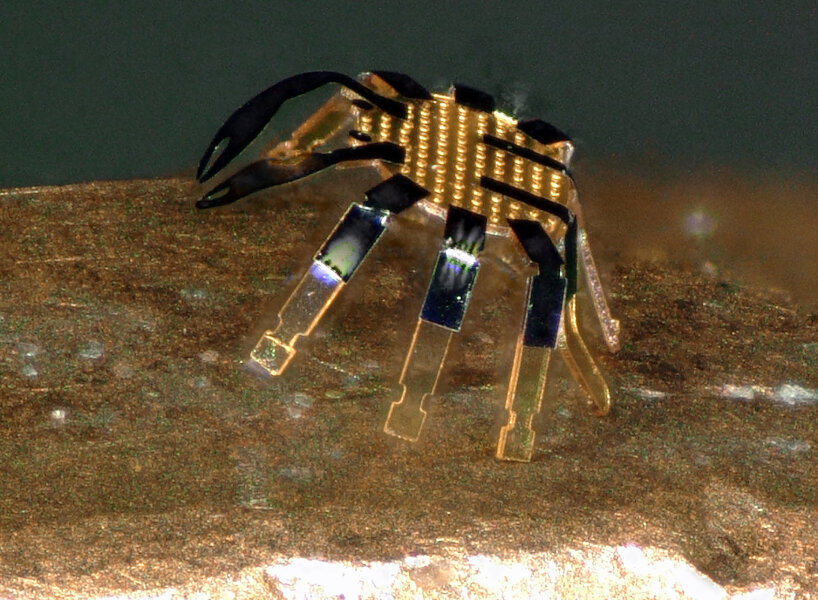 Los cangrejos robóticos de tamaño micro se doblan, tuercen, gatean y saltan para realizar tareas en espacios pequeños
