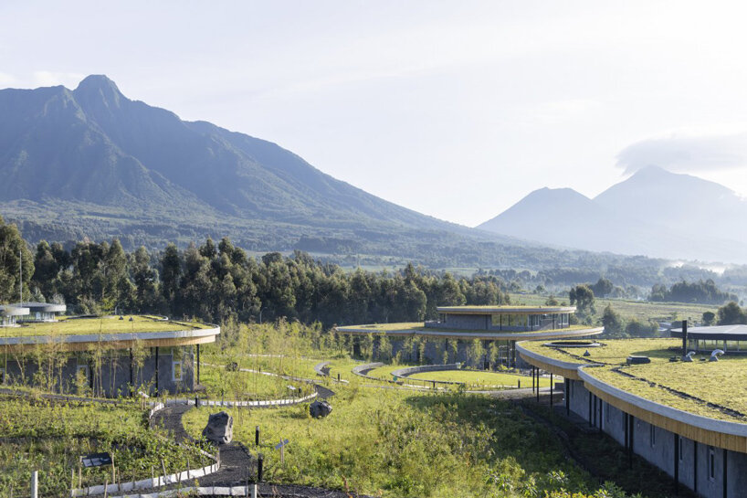 MASS design group's new campus respects lush volcanoes and endangered gorillas in Rwanda