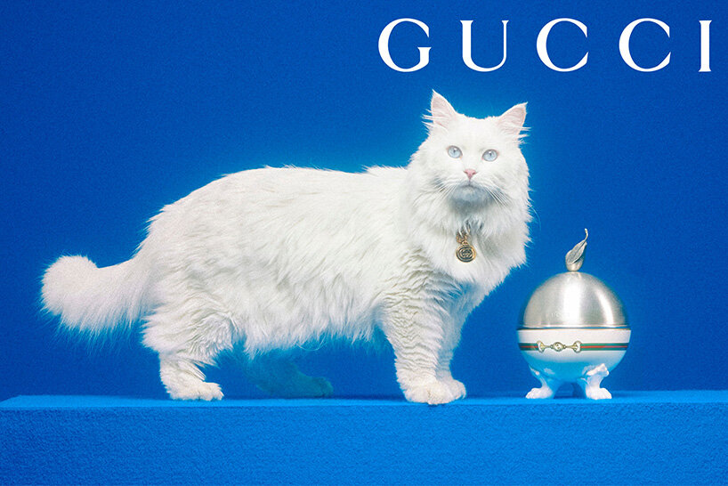 The Gucci Pet Collection 