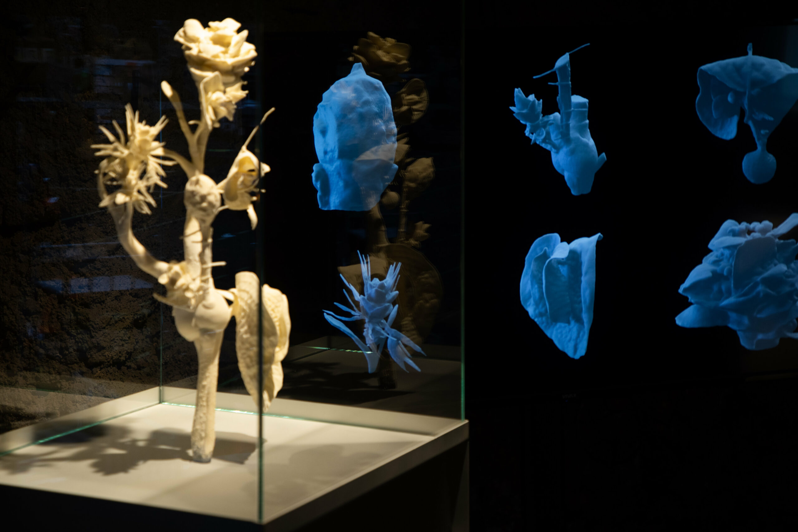 Marcin Rusak uses flowers to crystallize deterioration at the Slovenian Design Biennial BIO27