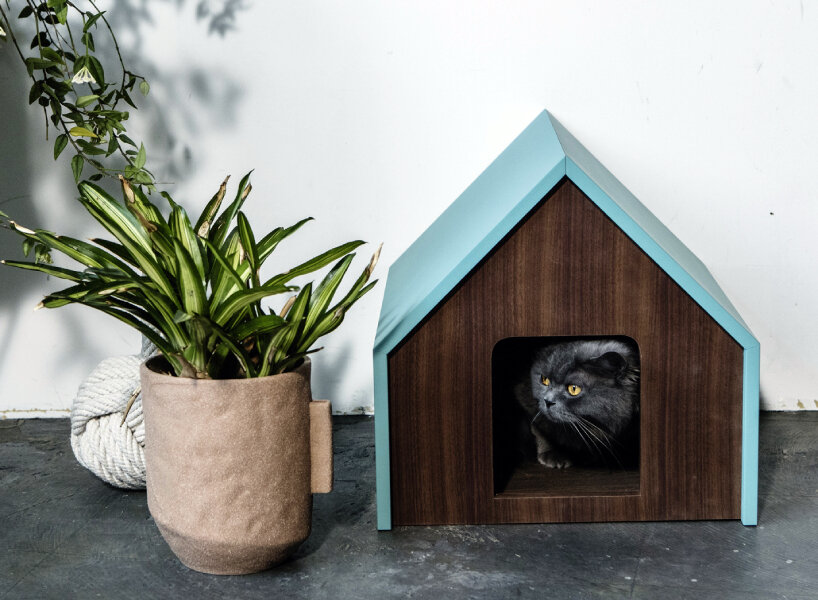 wooden, cushioned mini houses and beds for cats help them relax and sleep well