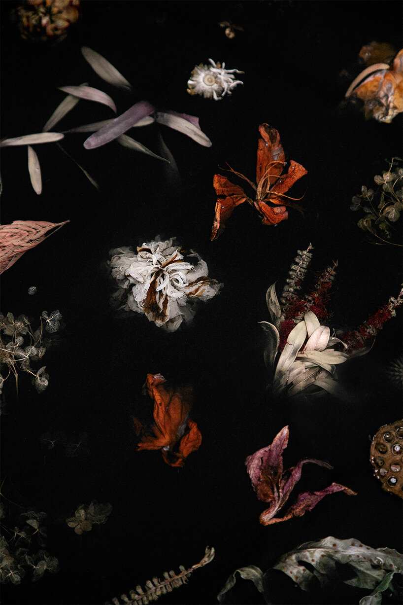 marcin rusak uses flowers to crystallize deterioration at slovenian design biennale BIO27