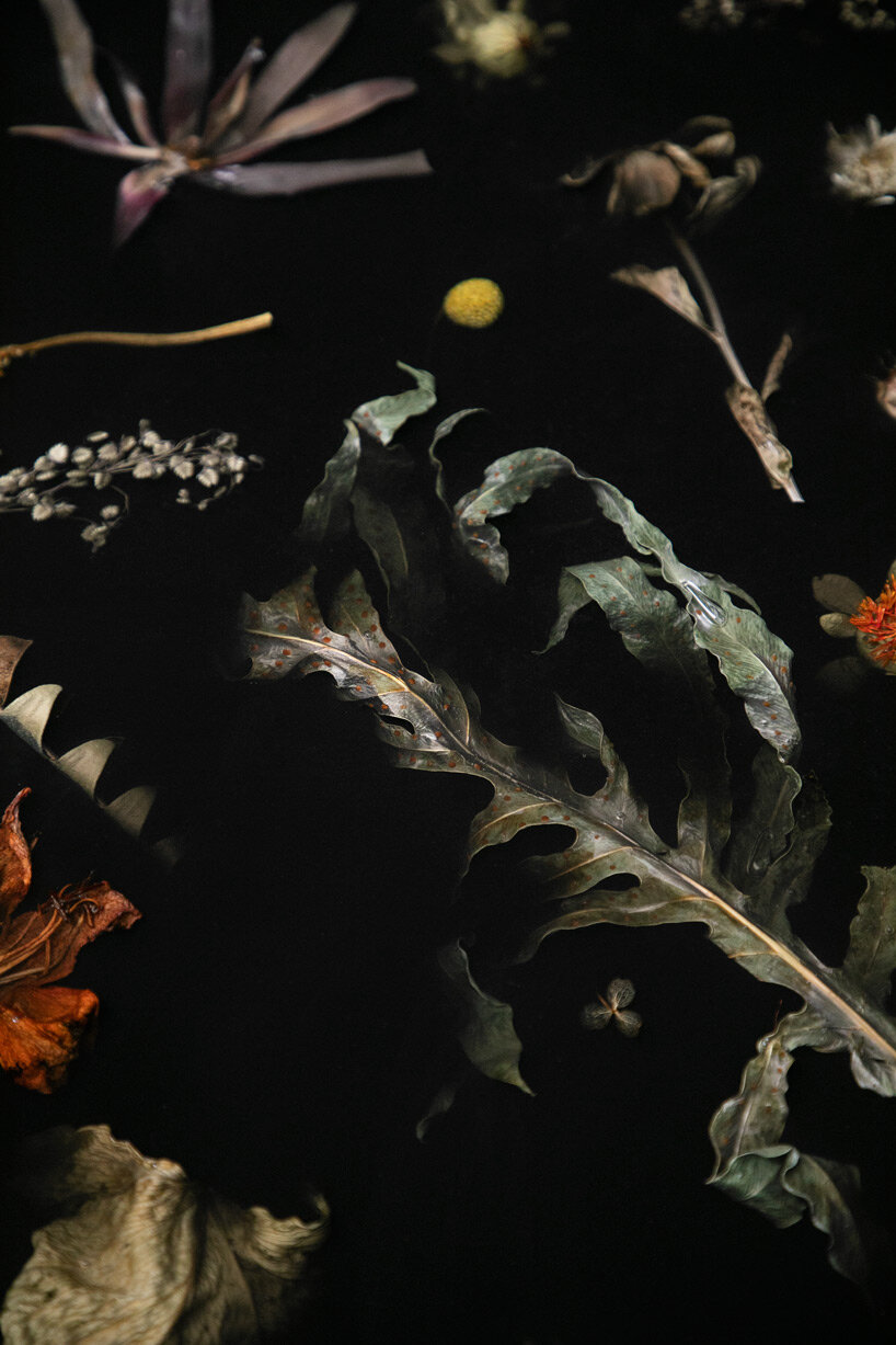 marcin rusak uses flowers to crystallize deterioration at slovenian design biennale BIO27
