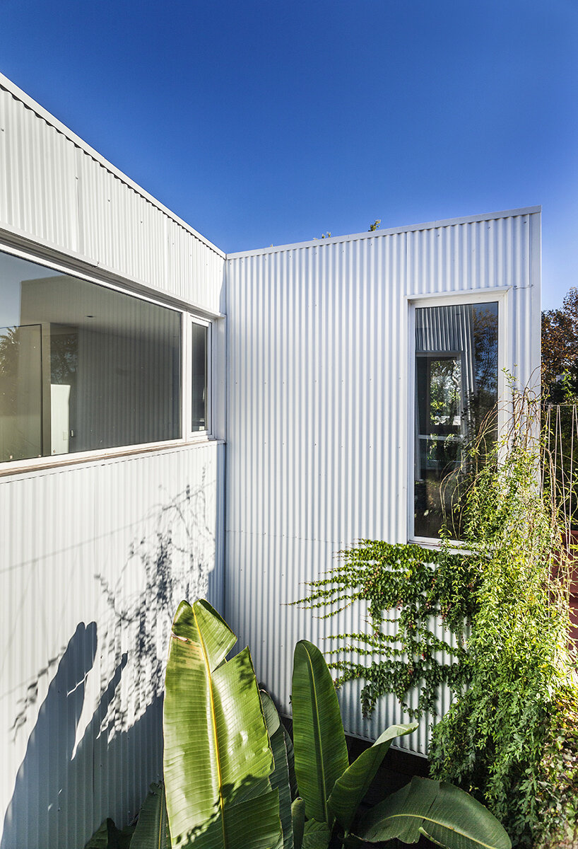 estudio pka casa hormiga