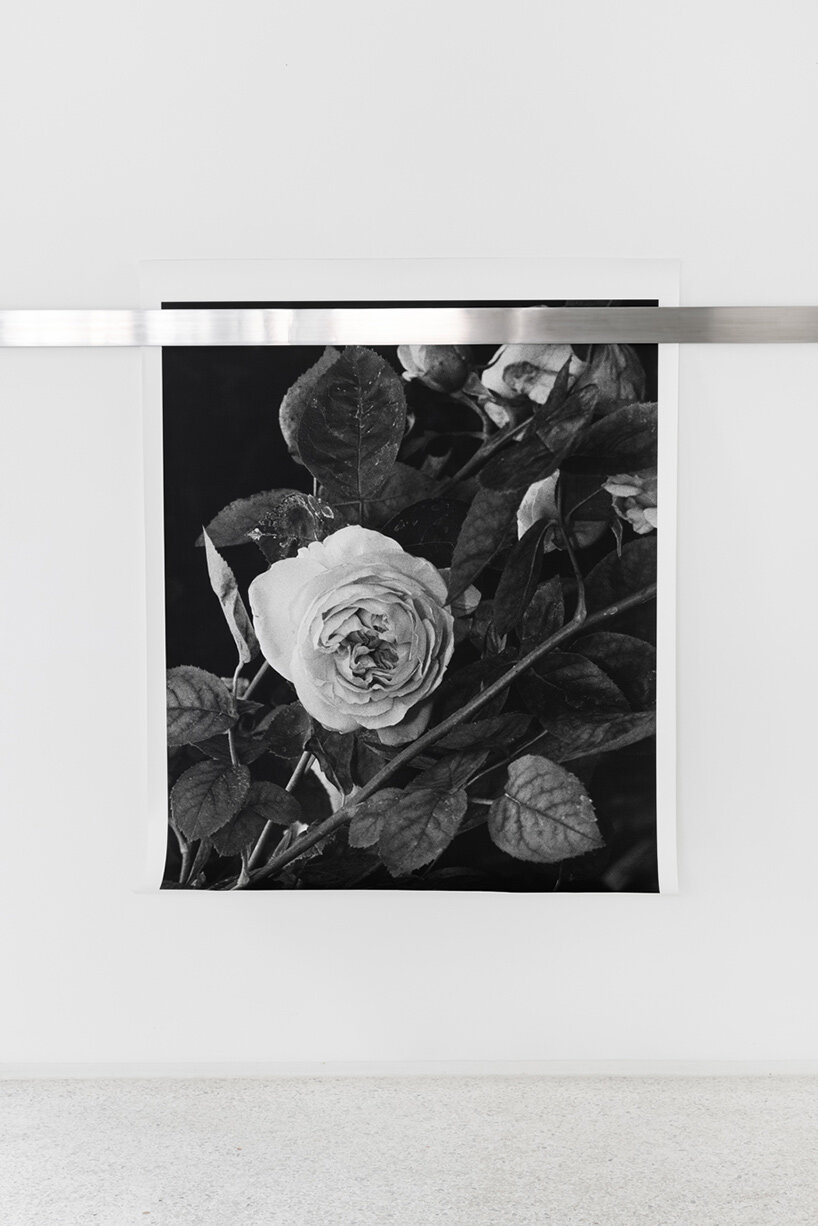 formafantasma & joanna piotrowska incarnate ambiguous emotions into rose photo series