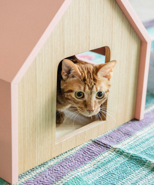 wooden, cushioned mini houses and beds for cats help them relax and sleep well