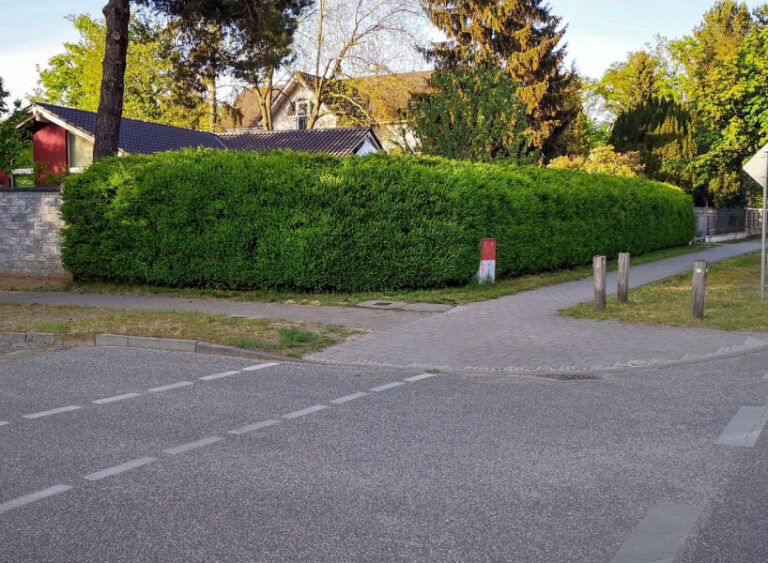 flowers and plants used as barricades to block traffic noise and pollution