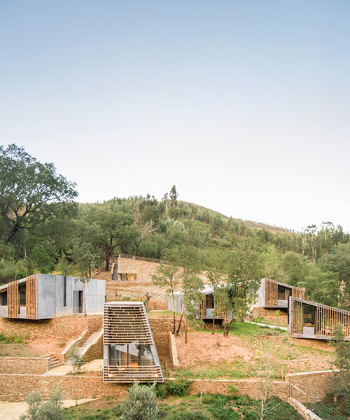 summary architecture scatters tiny hotel cabins over idyllic landscape of paradinha