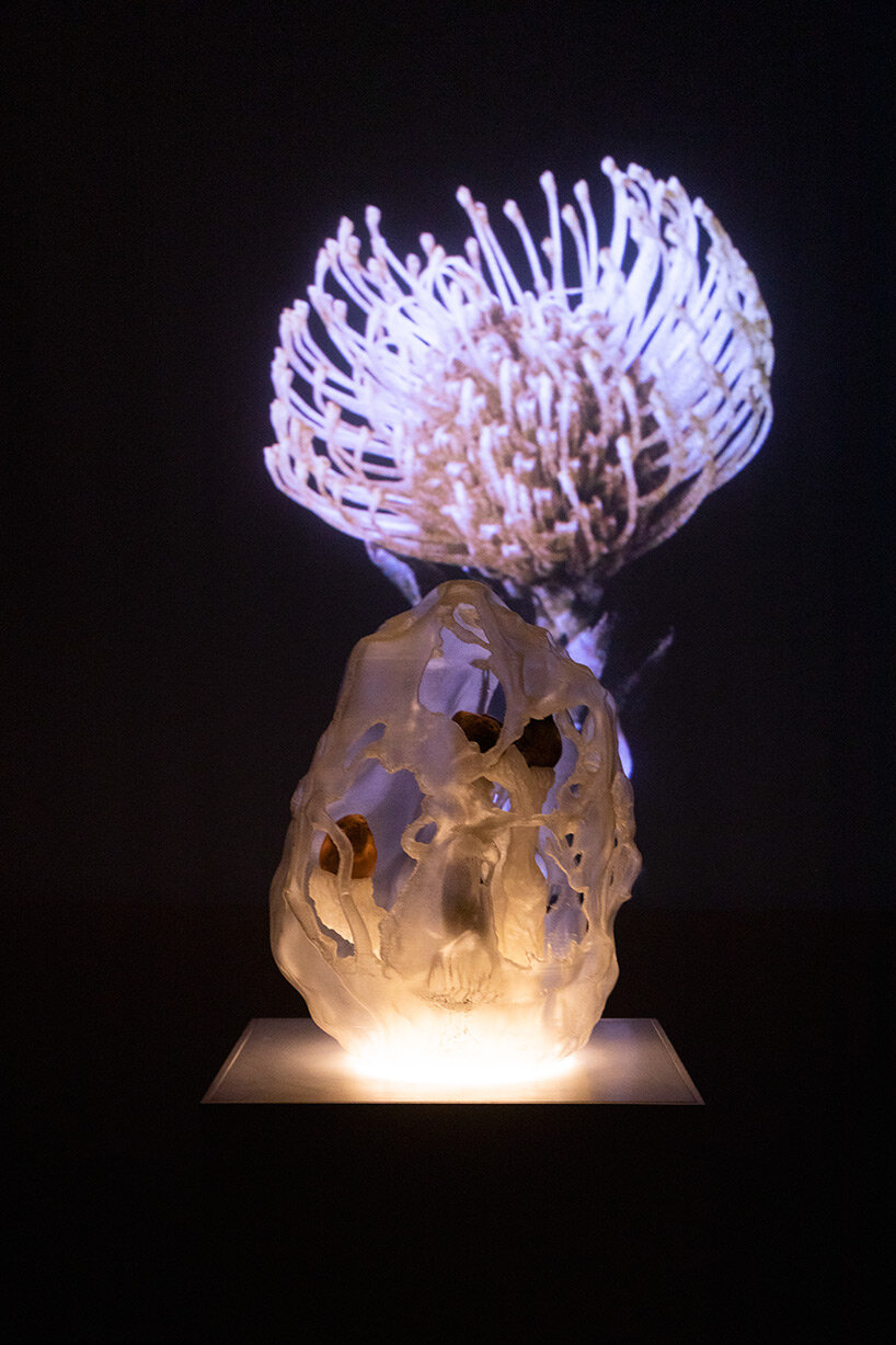 marcin rusak uses flowers to crystallize deterioration at slovenian design biennale BIO27